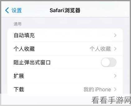 Safari 浏览器弹窗难题破解秘籍，电脑版取消阻止弹窗全攻略