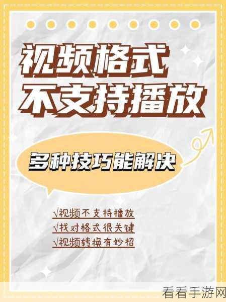 抖音直播伴侣电脑版循环播放视频秘籍