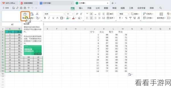 WPS Excel 中轻松一键清除表格样式的秘籍