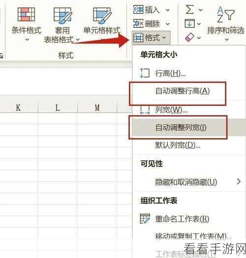 Excel 单元格容纳长内容秘籍，轻松搞定大段文字