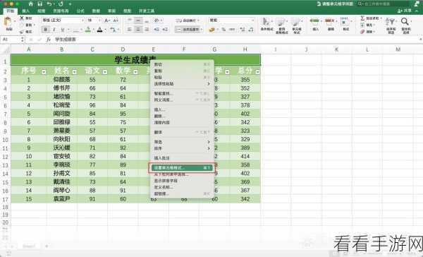 轻松搞定！WPS Excel 表格文字行间距调整秘籍