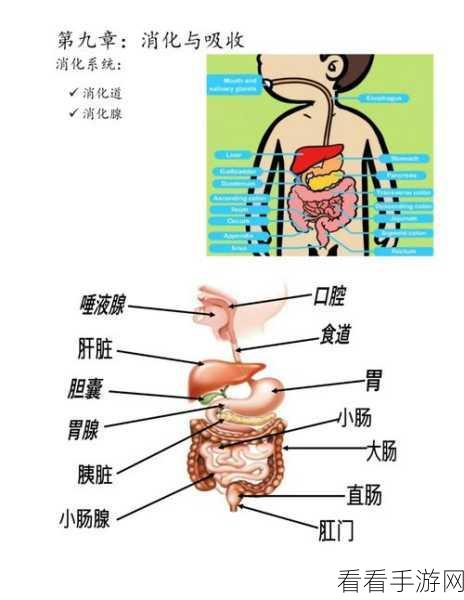 探秘，Nats Kafka 与现有系统的完美融合之道