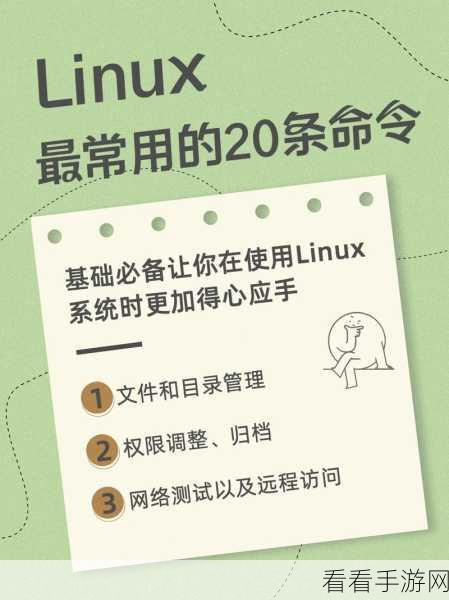 掌握 Linux IPCS 命令的实用秘籍