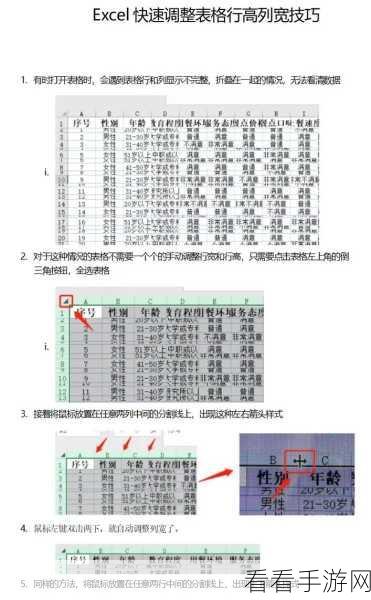 Excel 行高列宽设置秘籍，轻松掌握表格排版技巧