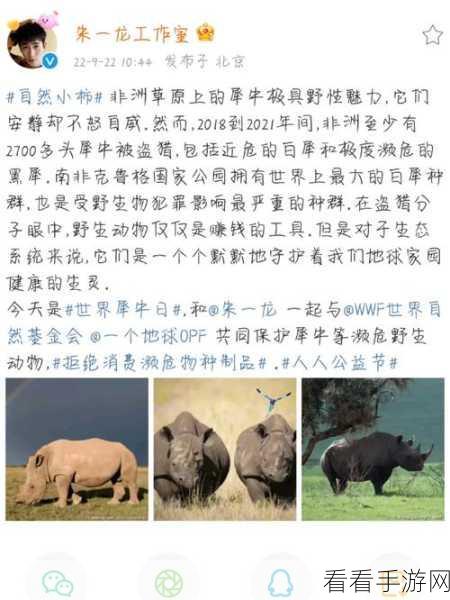 犀牛狂奔，WWF Rhino Raid跑酷新体验，安卓1.0.1版震撼上线