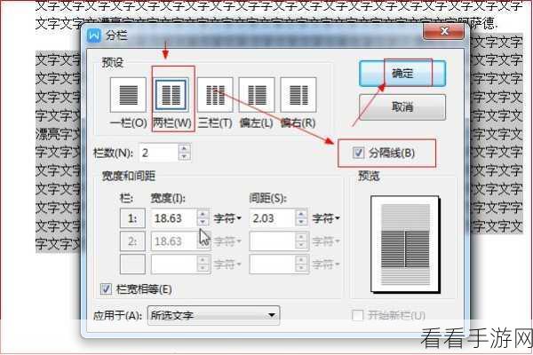 轻松搞定 Word 分割线！实用教程大放送