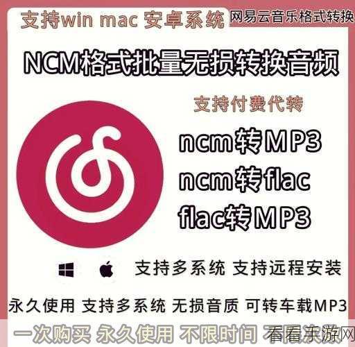 网易云音乐下载 MP3 格式音乐秘籍大公开