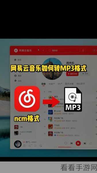 网易云音乐下载 MP3 格式音乐秘籍大公开