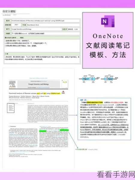 轻松掌握，OneNote 添加待办事项标记秘籍