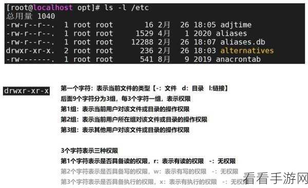 探秘 Linux 中的 chmod 命令，实用技巧大揭秘