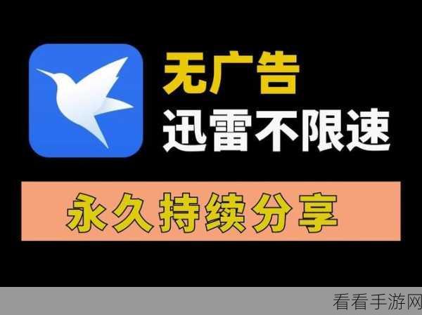 轻松搞定迅雷浏览器下载支持，电脑版操作秘籍