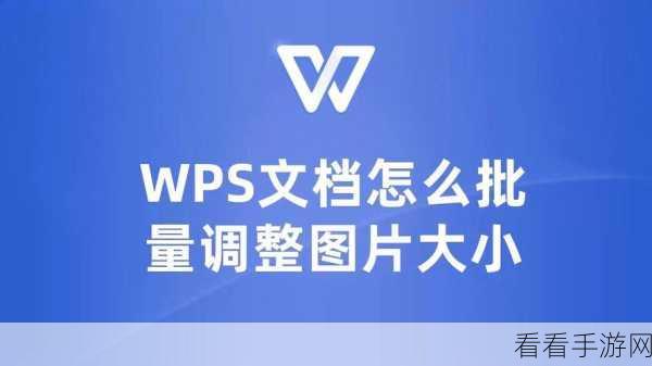 轻松搞定 WPS PPT 多张图片循环播放秘籍