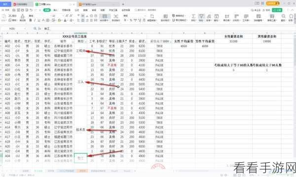 WPS Excel 搜索查找秘籍，电脑版表格指定内容查找指南