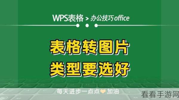 轻松搞定！WPS 表格左上角绿色三角添加秘籍