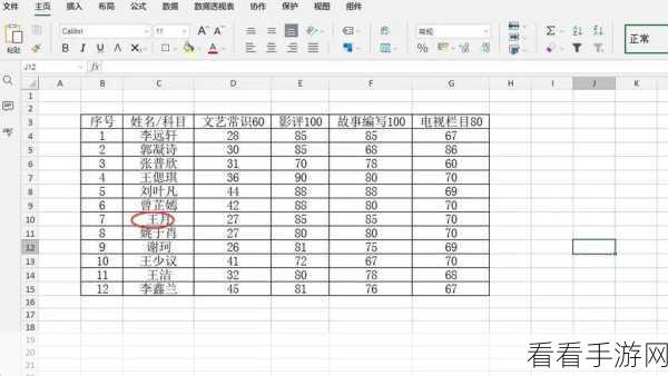 Excel 多行插入秘籍，空白行一次性添加技巧全攻略