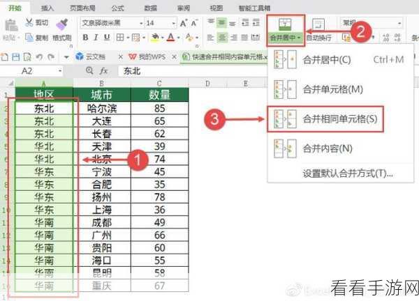 轻松搞定 Excel 相同单元格数据合并求和，WPS 秘籍在此！