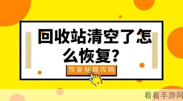 轻松搞定！电脑版迅雷下载回收站清空秘籍