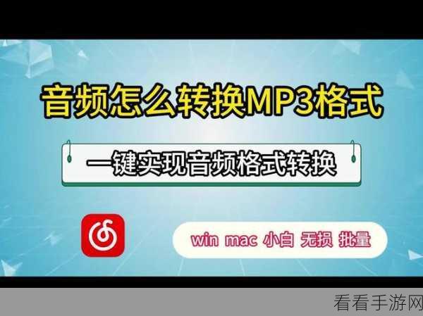 轻松搞定！QVE 音频剪辑视频转 MP3 格式秘籍