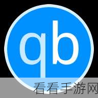 轻松掌握，qbittorrent 添加服务器的秘籍