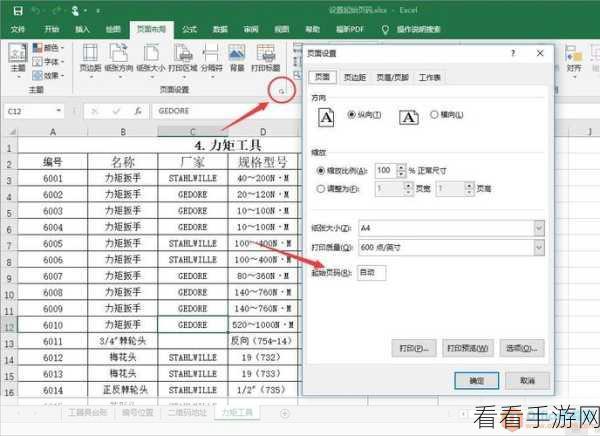 轻松搞定 Excel 起始页码从第 6 页开始的设置