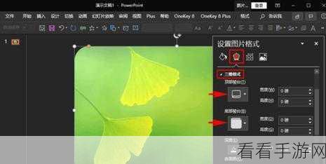 轻松搞定！InDesign 中图片变圆形的绝妙技巧