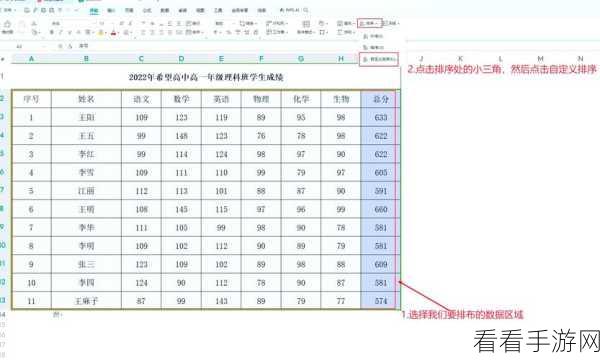 轻松搞定！电脑版 WPS 表格带文字数字的排序秘籍