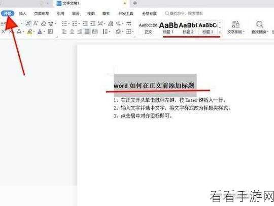 轻松搞定！WPS Word 正文前添加标题的秘诀