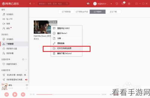 轻松搞定！网易云音乐电脑版 MV 下载秘籍