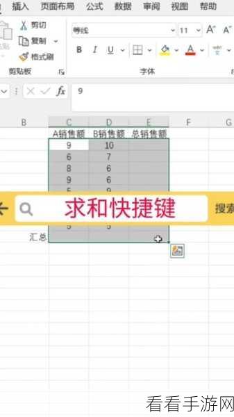 Excel 求和快捷键大揭秘，轻松提升办公效率！