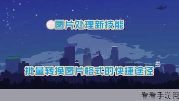 轻松搞定！淘淘图片批处理之星批量转换图片格式秘籍