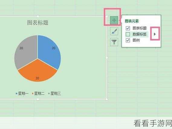 WPS Excel 扇形图，类别名称与百分比的完美呈现秘籍