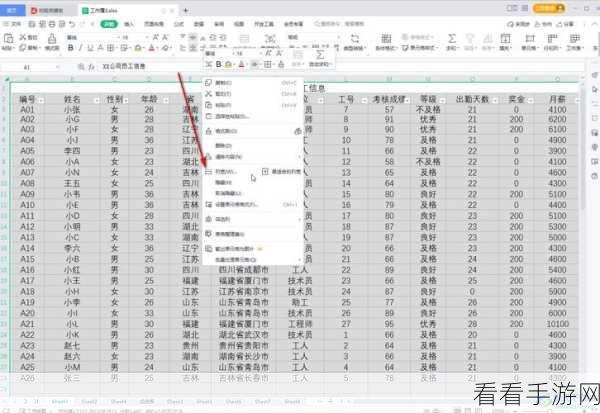 电脑版 WPS 表格隐藏零值秘籍大公开