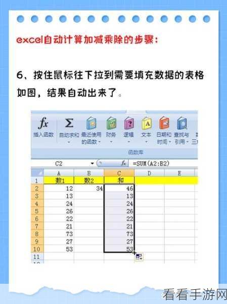 轻松掌握！WPS 表格公式自动计算秘籍大公开