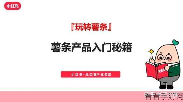 小红书实名认证解除秘籍，详细图文教程大放送