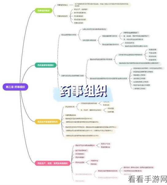 轻松搞定！亿图脑图与 MindMaster 去水印秘籍