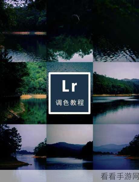 LR 自动调色秘籍，轻松搞定图片色彩的神奇教程