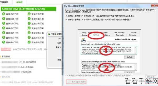 轻松找到 IDM 下载器临时文件夹位置，秘诀在此！