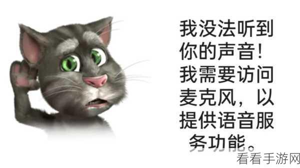 萌宠来袭！会说话的汤姆猫2 HD版养猫游戏深度体验报告