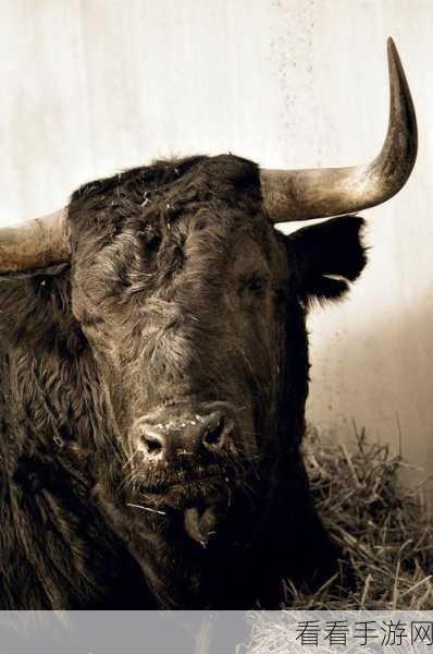 圣殿公牛震撼登场，公牛手机游戏下载全攻略及赛事详解