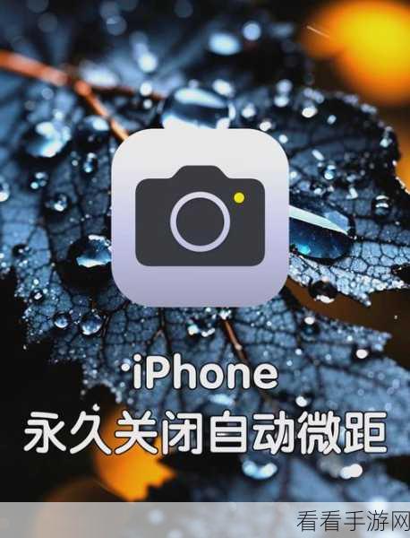 iPhone13 相机自动微距开启秘籍，一学就会！