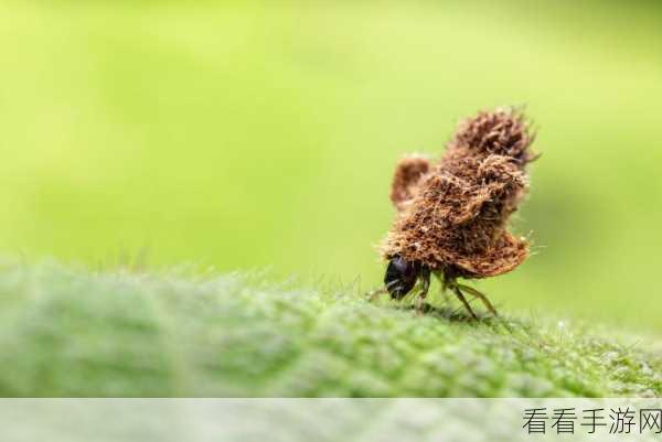 昆虫世界轻量版上线，探索微观奇趣，模拟养成新体验