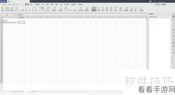 WPS 表格年龄计算秘籍，Excel 实用教程大揭秘