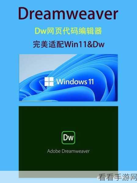 DW 撤销重做秘籍，Adobe Dreamweaver 高效返回上一步指南