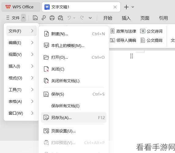WPS 文档页面留白消失？轻松几招帮你恢复