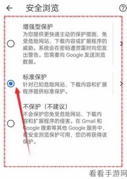 谷歌浏览器背景变黑秘籍，电脑版操作指南