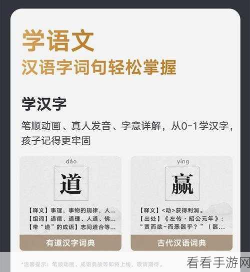 轻松掌握有道词典查词秘籍，让单词查询不再困难