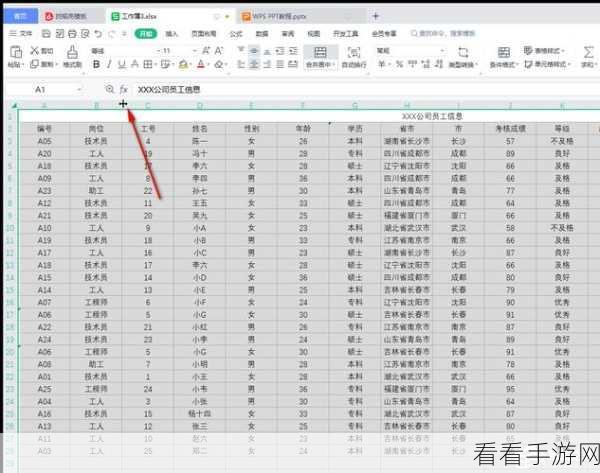 WPS Word 表格美化秘籍，让你的表格瞬间惊艳