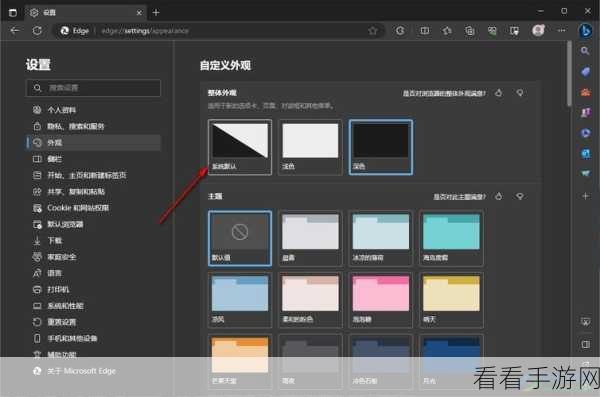 Edge 浏览器，轻松实现白色屏幕变黑的神奇技巧