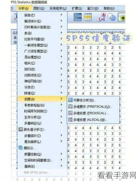 轻松掌握 SPSS 值标签添加秘籍