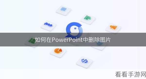 轻松搞定！WPS PPT 图片边框删除秘籍